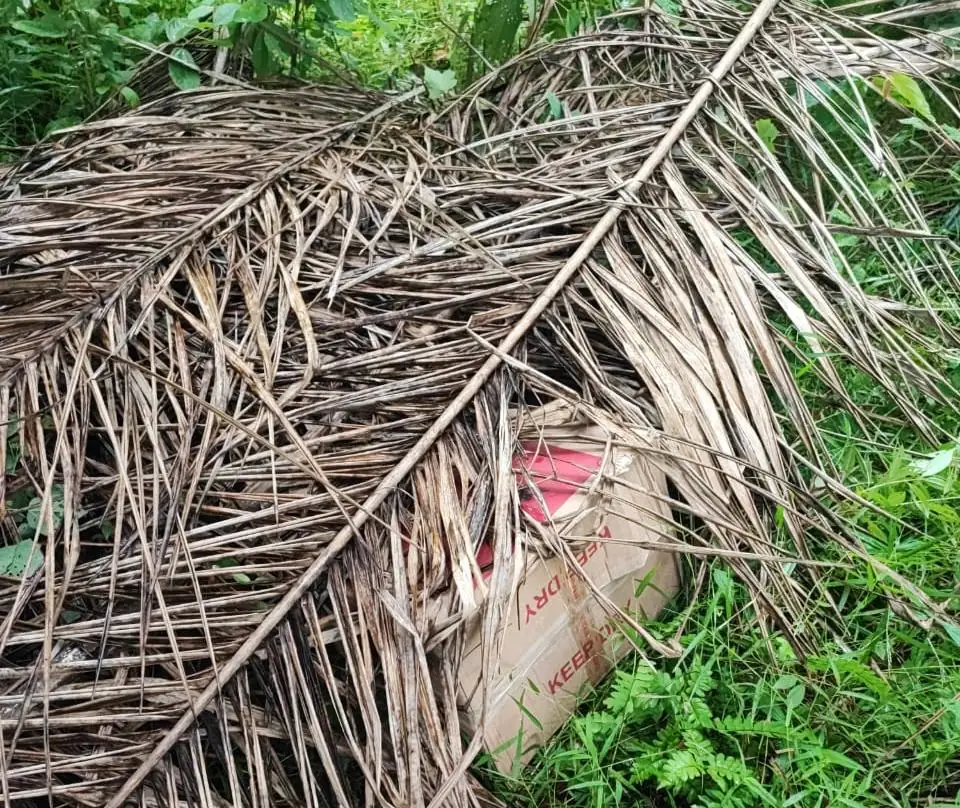 Di Aceh Timur, Bea Cukai Temukan Ratusan Slof Rokok Ilegal Disembunyikan di Kebun